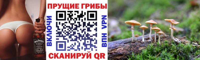 Псилоцибиновые грибы ЛСД Вичуга