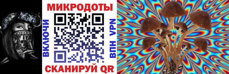 Галлюциногенные грибы мицелий  Вичуга 
